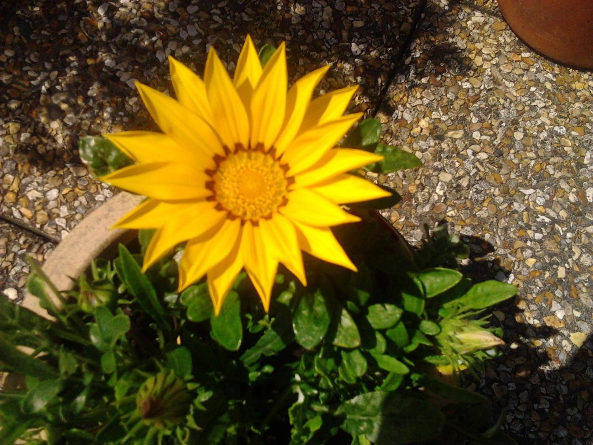 Rosslare Strand Rooms Only Accommodation Rosslare Harbour Esterno foto